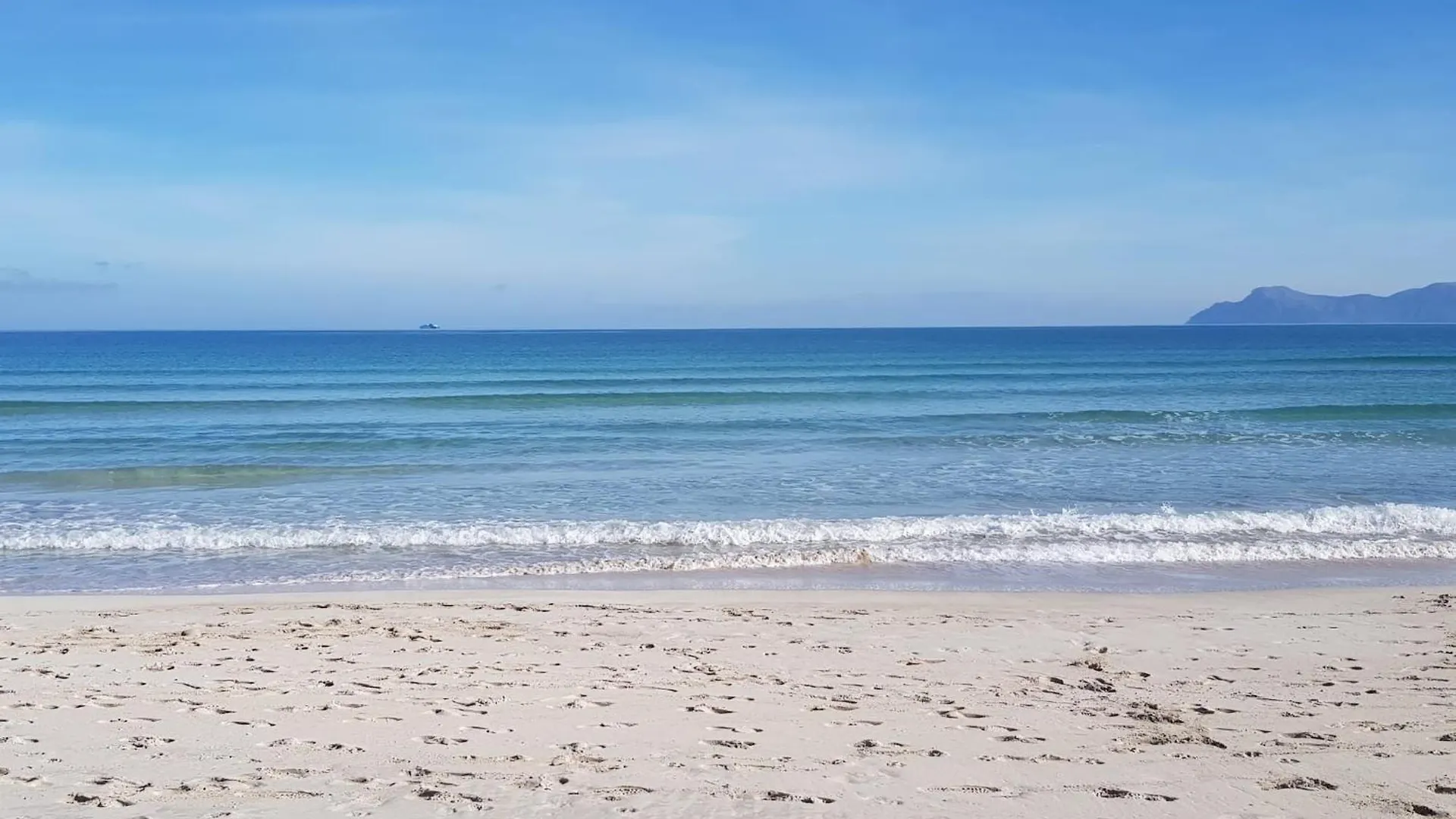 Ideal Property Mallorca - Cittadini 37 location